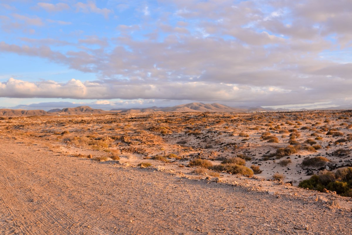 Weite sandige Wüstenlandschaft auf den Kanarischen Inseln mit spärlichen Trockensträuchern und schwarzem Lavagestein im Vordergrund – vulkanische Berge am Horizont, warmes goldenes Abendlicht auf dem Boden – die karge Naturlandschaft wie sie bei Calima besonders heiß und trocken wird