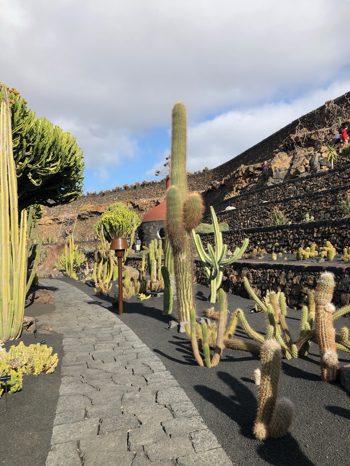 Jardín de Cactus Lanzarote – Kakteensammlung im Vulkankrater-Amphitheater, Manriques letztes großes Werk