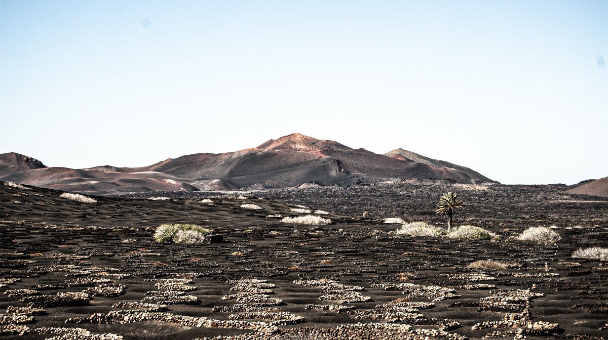 Blick auf die Vulkanlandschaft des Timanfaya Nationalparks – schwarze Lavafelder, kein Baum, blauer Himmel
